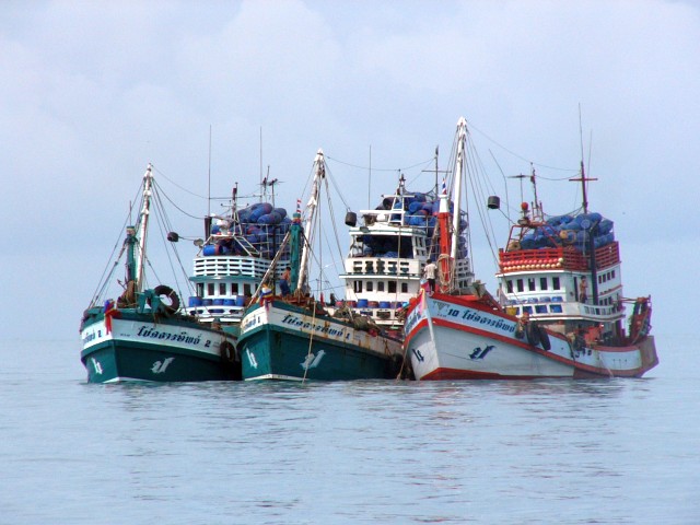 Ao Chalong Purse Seiners